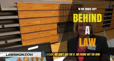 Is No Child Left Behind a Law? Understanding Its Legal Status