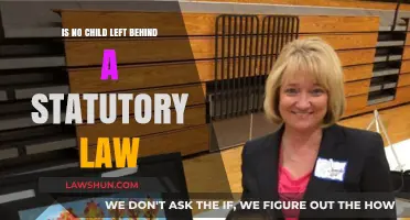 Is No Child Left Behind a Statutory Law? Exploring Its Legal Status