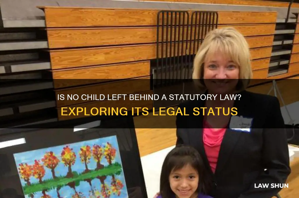 is no child left behind a statutory law