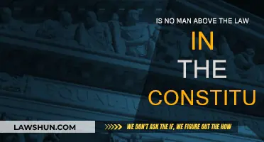 The Constitution: No Man Above the Law