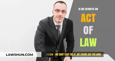 Is 'No Secrets' a Legal Act or Ethical Guideline?