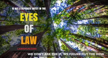 Understanding Legal Personhood: Why It’s Not a Separate Entity in Law