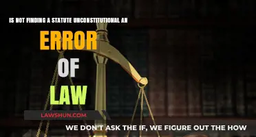 Is Failing to Identify Unconstitutional Statutes a Legal Error?