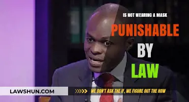 Is Not Wearing a Mask Punishable by Law? Legal Insights