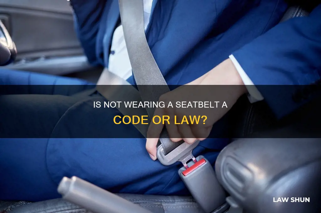 is not wearing a seatbelt a code or law