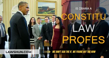 Obama's Teaching Career: Law Professor or Not?