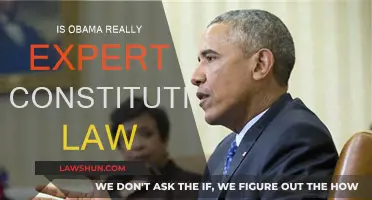 Obama's Constitutional Law Expertise: Fact or Fiction?