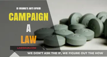 Is Obama's Anti-Opioid Campaign Legally Binding? Exploring the Facts