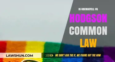 Obergefell vs Hodgson: Common Law Impact