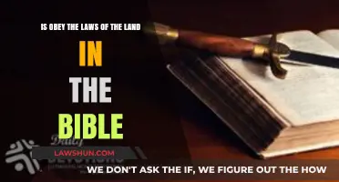 Biblical Command to Obey Earthly Laws: Scriptural Insights and Application