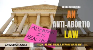 Ohio's Anti-Abortion Law: What Could Change?