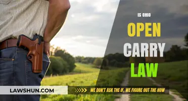 Ohio Open Carry Law: Understanding Your Rights and Responsibilities