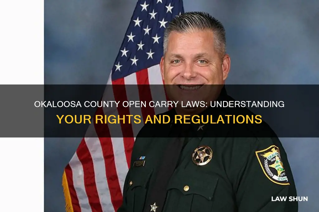 is okaloosa county open carry laws