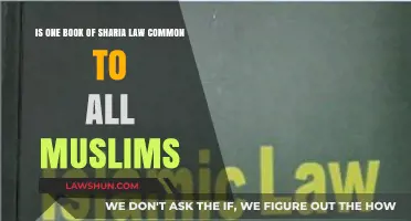 Sharia Law: A Single Book for All Muslims?
