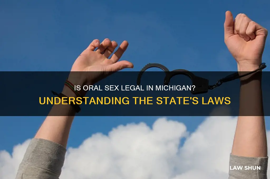 is oral sex against the law in michigan