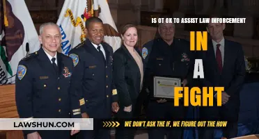 Assisting Law Enforcement in Fights: Ethical, Legal, and Safety Considerations