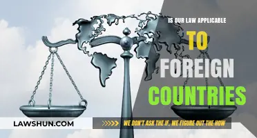 Is Domestic Law Enforceable in International Jurisdictions?