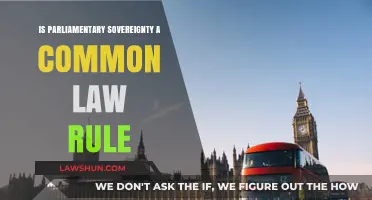 Parliamentary Sovereignty: Common Law Rule or Myth?