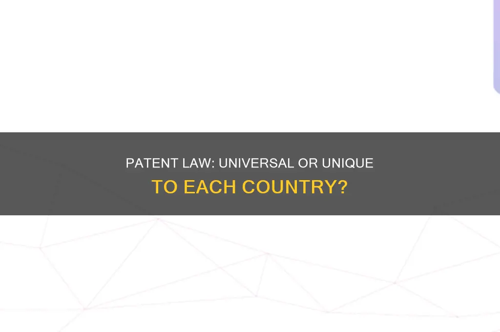 is patent law universal