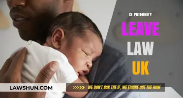 Paternity Leave: Understanding Your UK Rights as Fathers