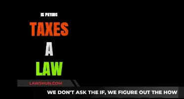 Tax Compliance: Understanding Your Legal Obligations