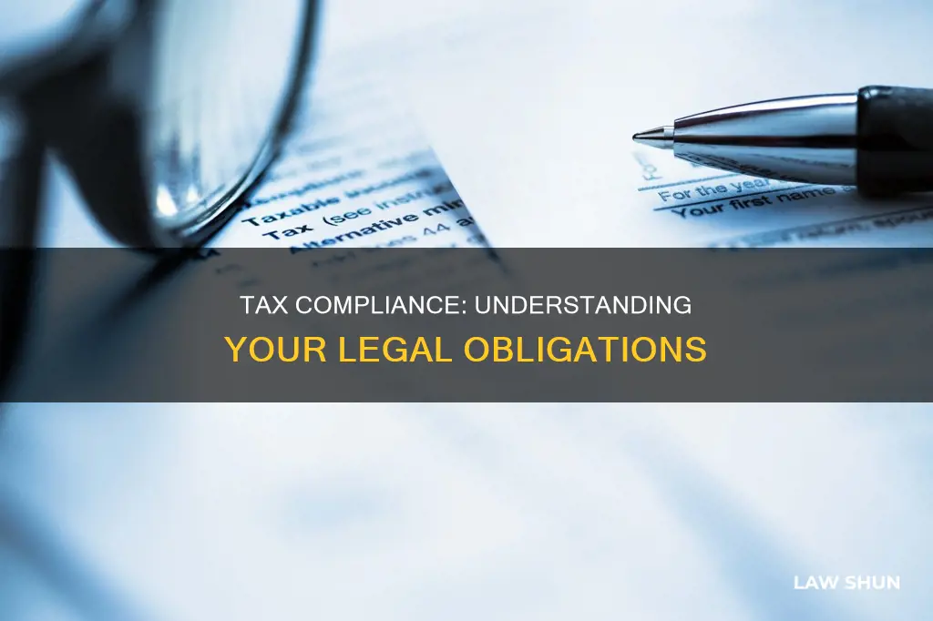 is paying taxes a law