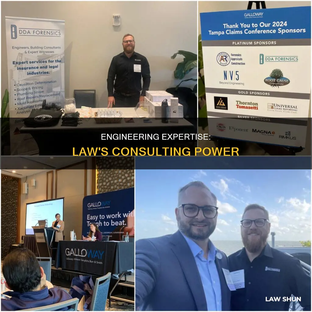 is pe engineering needed to consult for law cases