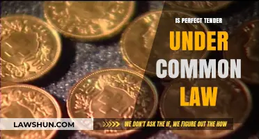 Understanding Perfect Tender Rules in Common Law