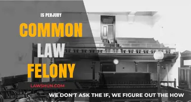 Perjury: A Common Law Felony?