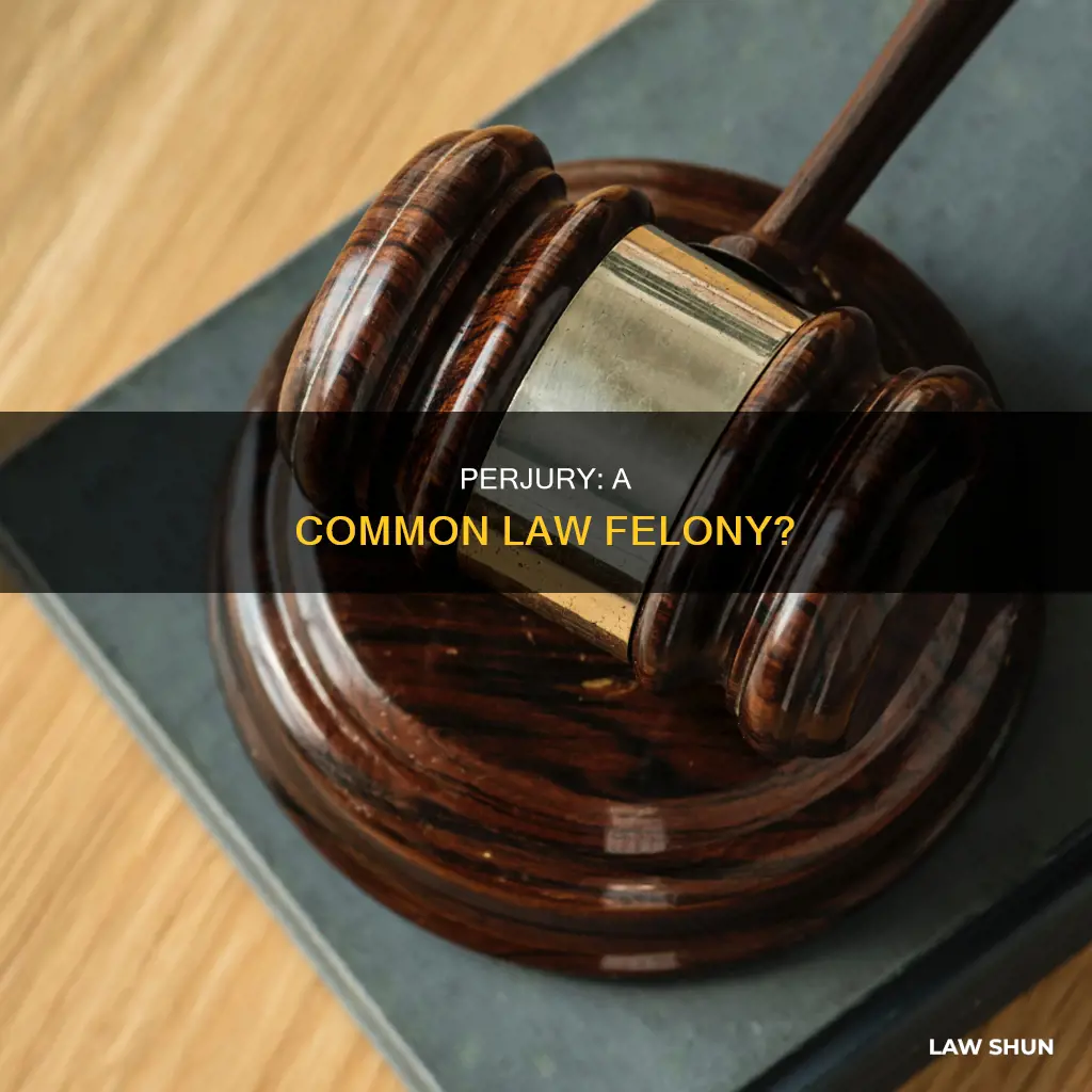 is perjury common law felony