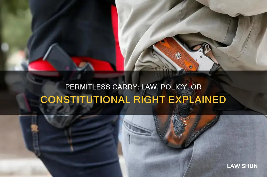 is permitless carry a law or policy