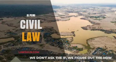 Understanding Peru's Legal System: Is It Civil Law or Something Else?
