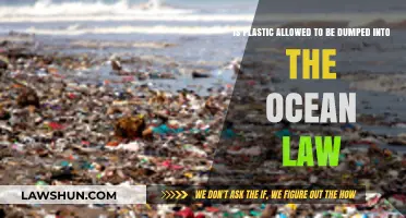 Is Ocean Plastic Dumping Legal? Understanding Maritime Pollution Laws