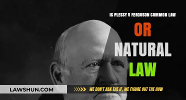 Understanding Plessy v. Ferguson: Common or Natural Law?