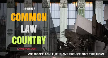 Poland's Legal System: Common or Civil Law?