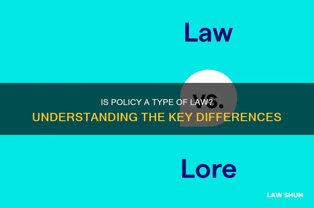 is policy a type of law