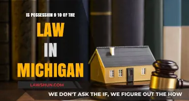 Possession vs. Ownership: Understanding Michigan's Legal Stance on Property Rights