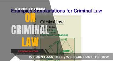 Criminal Law: Can Analogies Help or Hinder Justice?