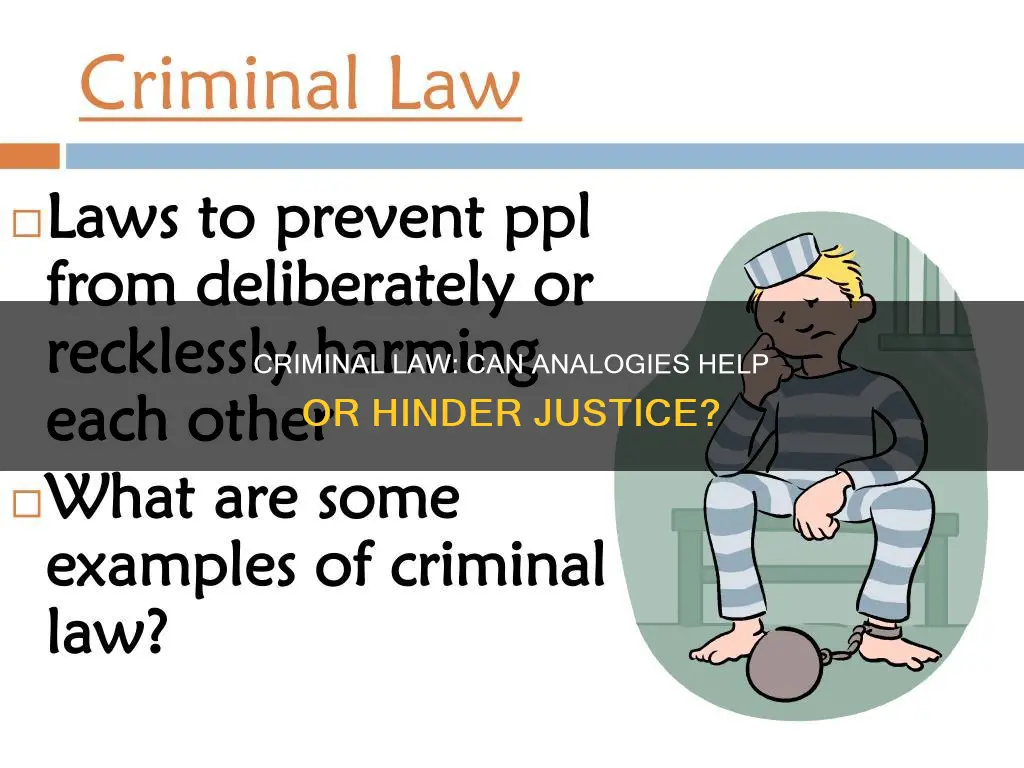 is possible apply analogy on criminal law