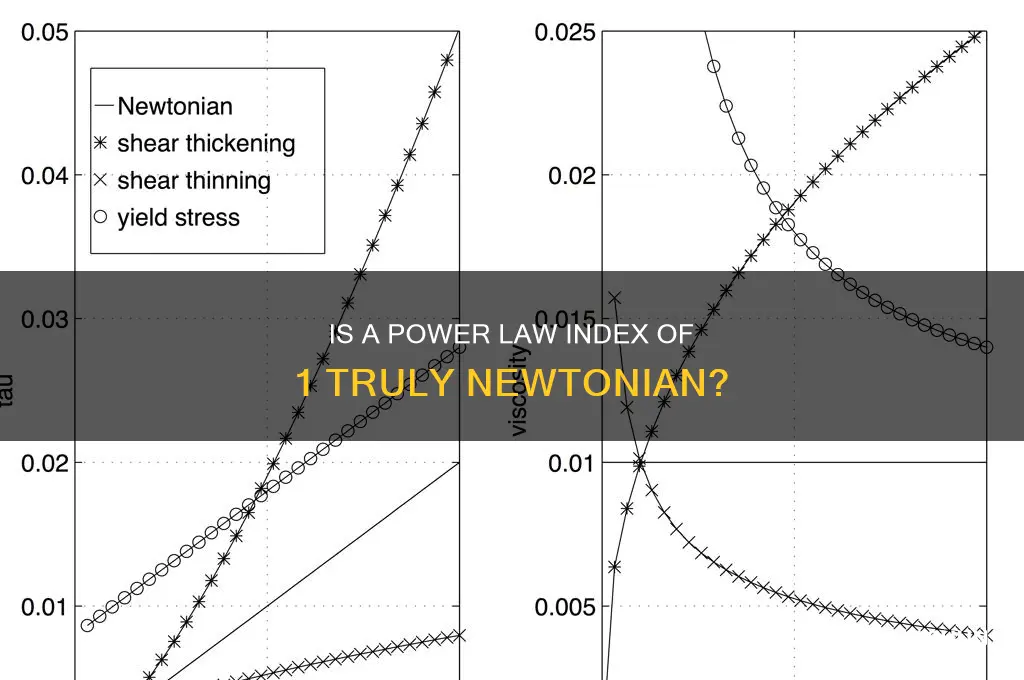 is power law index of 1 newtonian