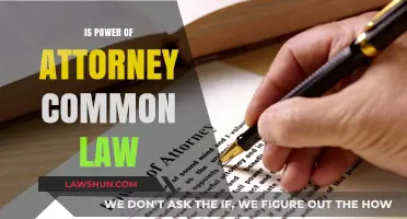 The Importance of Power of Attorney in Common Law