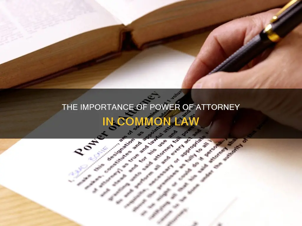 is power of attorney common law