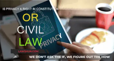 Privacy Rights: Constitution vs Civil Law