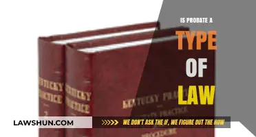 Understanding Probate: Is It a Distinct Legal Practice Area?