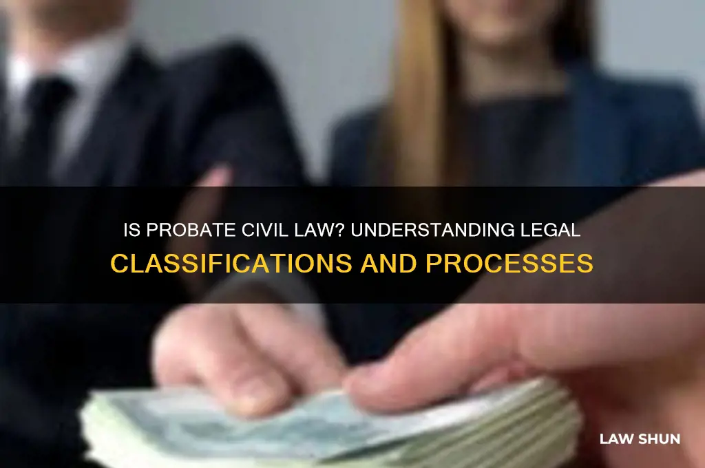 is probate considered civil law