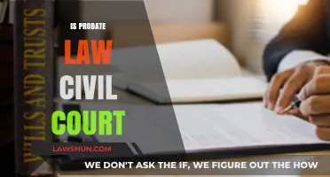 Understanding Probate Law: Is It a Civil Court Process?