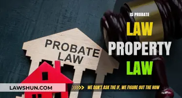 Is Probate Law a Branch of Property Law? Exploring the Connection