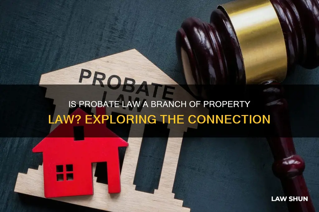 is probate law property law