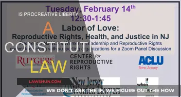 Procreative Liberty: A Constitutional Right or Not?