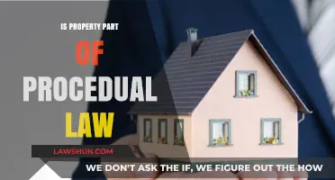 Is Property Law Procedural? Understanding Its Legal Classification